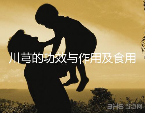 川芎的功效與作用及食用方法（川芎對男性性功能影響）