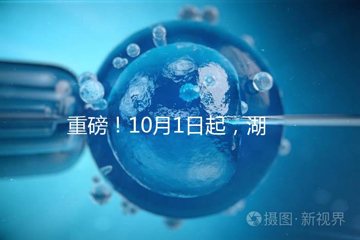 重磅!10月1日起,湖南省試管嬰兒納入醫(yī)保報銷(附29家醫(yī)保定點醫(yī)院)