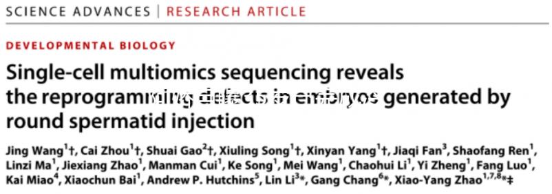 阿嬌自曝35歲已完成冷凍卵子，為何明星都選擇凍卵？