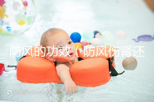 防風(fēng)的功效(防風(fēng)傷腎還是補(bǔ)腎)