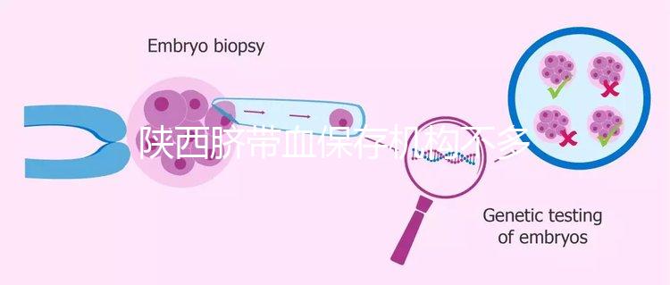 陜西臍帶血保存機構(gòu)不多，咸陽想自存請準備好費用去合肥