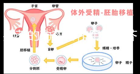 荊芥的功效與作用(荊芥的功效與作用主要治什么病)