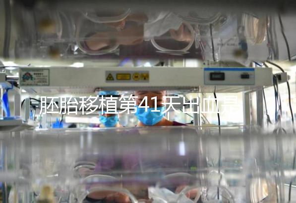 胚胎移植第41天出血是流產(chǎn)信號(hào)?這幾種出血沒必要擔(dān)心