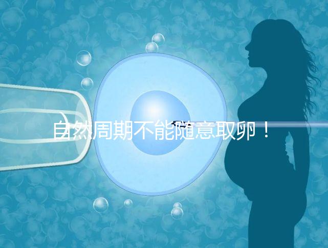自然周期不能隨意取卵！滿足3點要求才能順利進行