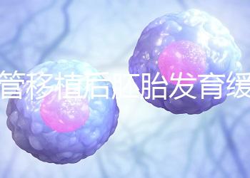 試管移植后胚胎發育緩慢,甚至胎停咋回事?3大高危因素要規避