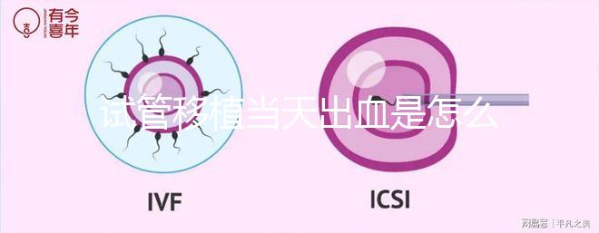 試管移植當天出血是怎么回事？收好你的“玻璃心”別太擔心