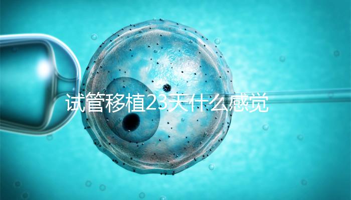 試管移植23天什么感覺(jué)都沒(méi)有正常嗎？血hcg值才是金標(biāo)準(zhǔn)