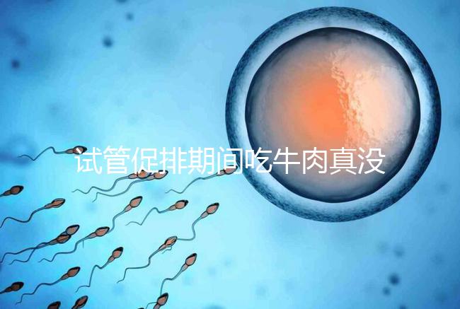 試管促排期間吃牛肉真沒影響，關(guān)鍵在于是火鍋還是牛肉干