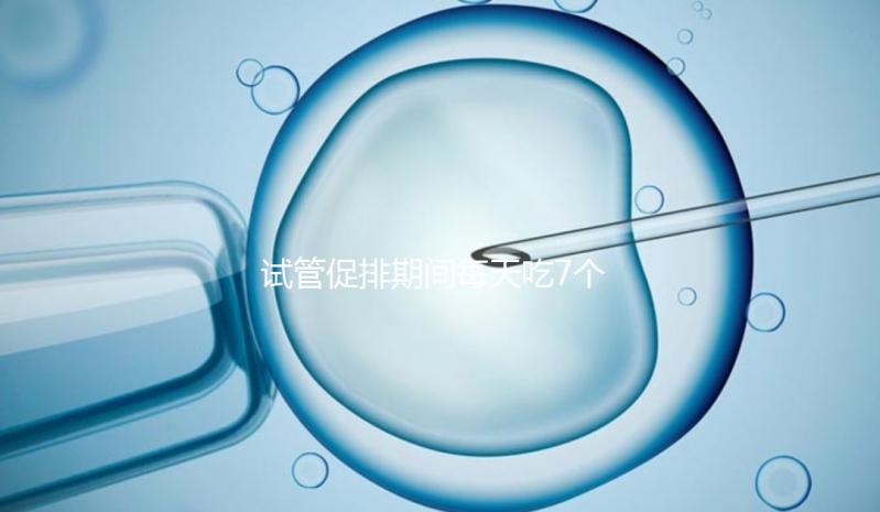 試管促排期間每天吃7個蠶蛹好處多，提高卵子質(zhì)量只是其一