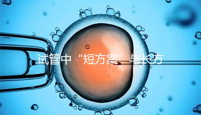 試管中“短方案”與長方案區別分析,時間并非唯一差異