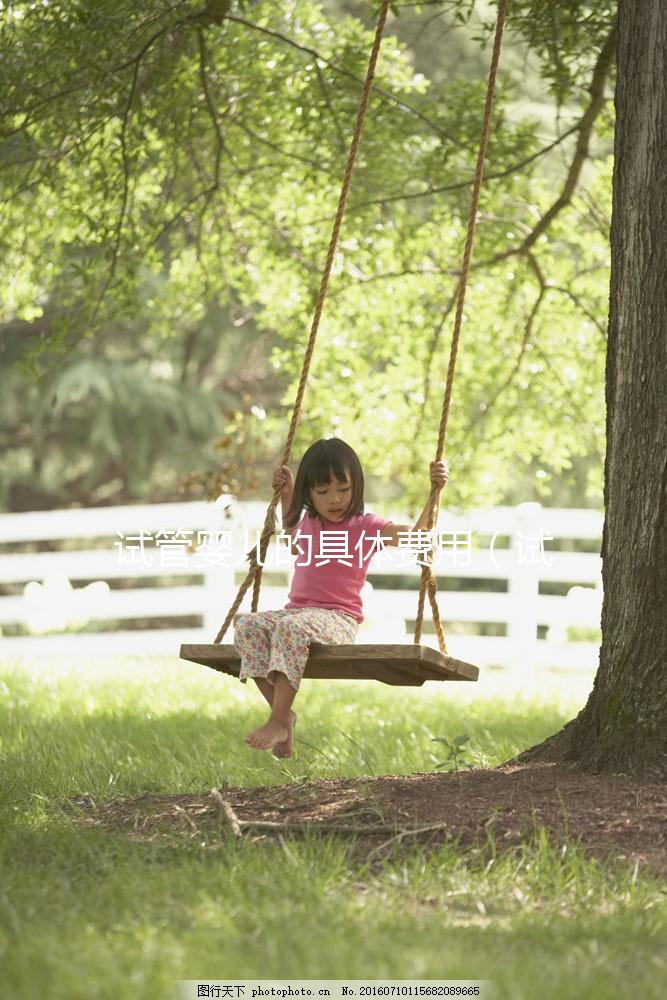 試管嬰兒的具體費用（試管嬰兒的具體費用是多少）