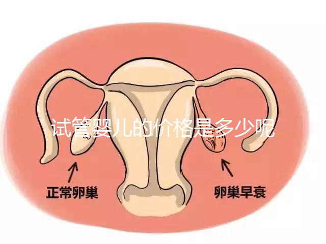 試管嬰兒的價格是多少呢？