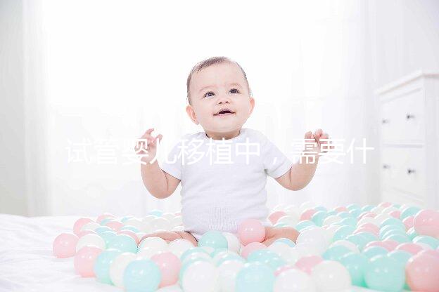 試管嬰兒移植中，需要什么樣的子宮內膜條件？