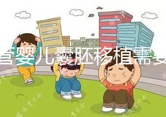 試管嬰兒囊胚移植需要滿足什么條件？