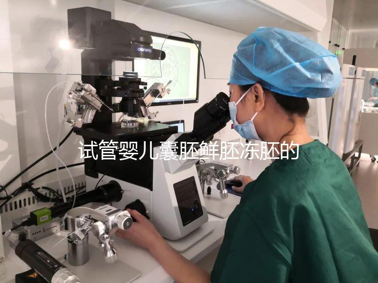 試管嬰兒囊胚鮮胚凍胚的區別是什么?鮮胚移植VS凍胚移植,哪個成功率高?