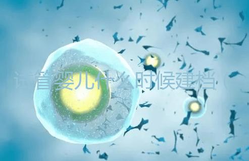 試管嬰兒什么時候建檔(試管建檔當天要交多少錢)