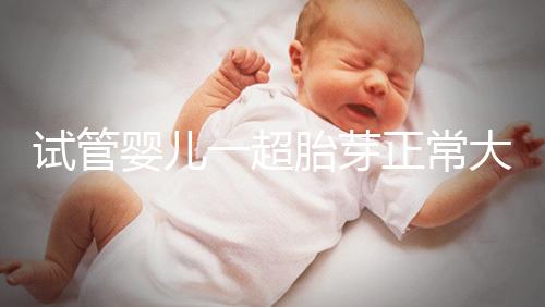 試管嬰兒一超胎芽正常大小不超這個(gè)數(shù)，2mm不一定會(huì)胎停