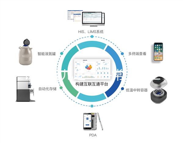 試管嬰兒之——常見的三種胚胎移植方式