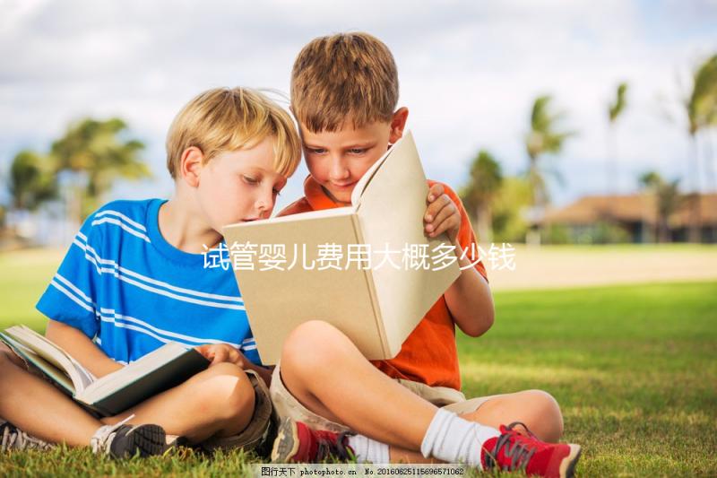 試管嬰兒費用大概多少錢（一代試管嬰兒費用大概多少錢）