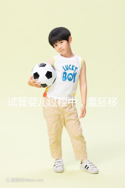 試管嬰兒過程中,囊胚移植和鮮胚移植哪個(gè)成功率更高?