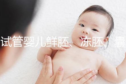 試管嬰兒鮮胚、凍胚、囊胚移植區別,看完秒懂怎么選