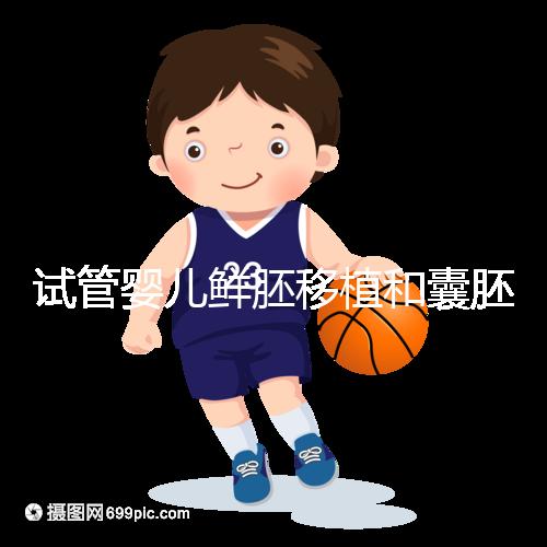 試管嬰兒鮮胚移植和囊胚移植的區別！哪個成功率高看完便知曉