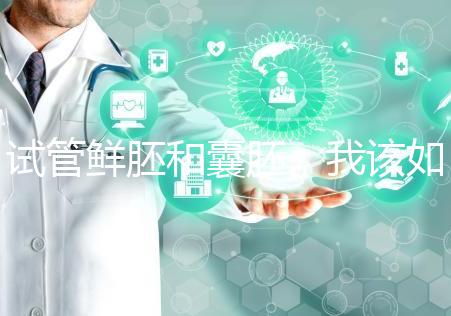 試管鮮胚和囊胚，我該如何選？