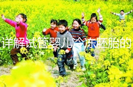 詳解試管嬰兒冷凍胚胎的原理、步驟