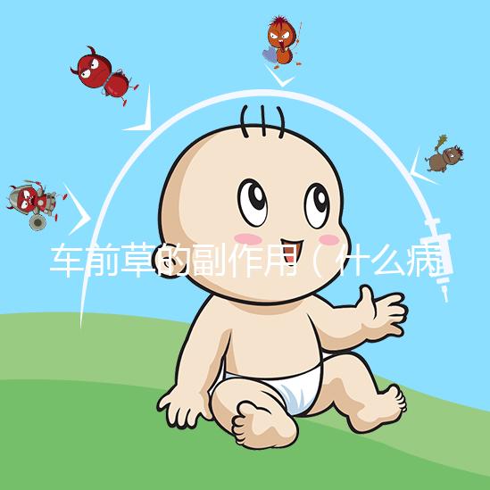 車(chē)前草的副作用(什么病最怕車(chē)前草)