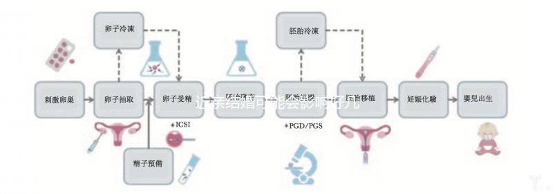 近親結婚可能會影響好幾代人，危害你真的承受不起！