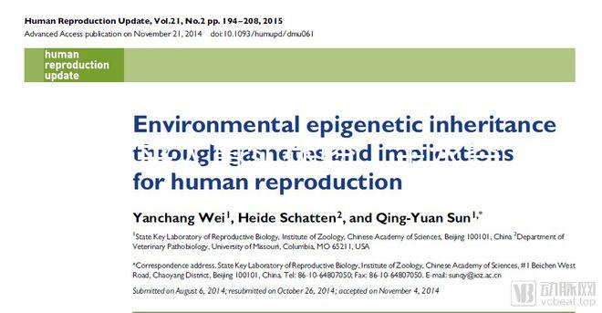過來人真實(shí)體驗(yàn):羊水穿刺疼不疼,說說我做完的感覺