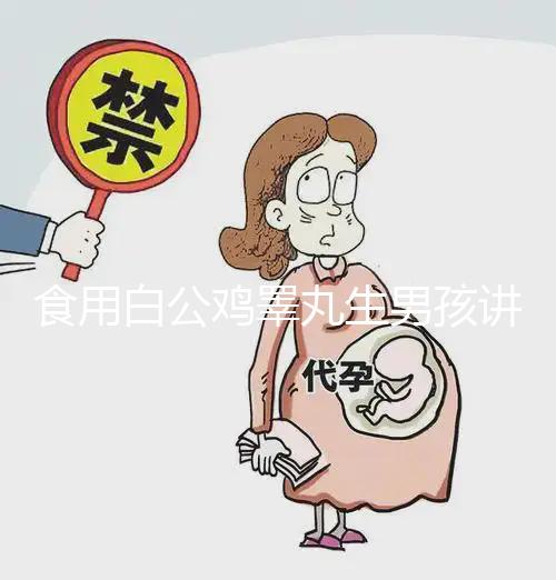 食用白公雞睪丸生男孩講方法，1分鐘說(shuō)清楚具體怎么吃