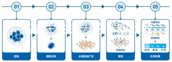 高齡失獨(dú)夫妻的“自我救贖”,為什么大都會(huì)選擇做試管嬰兒?