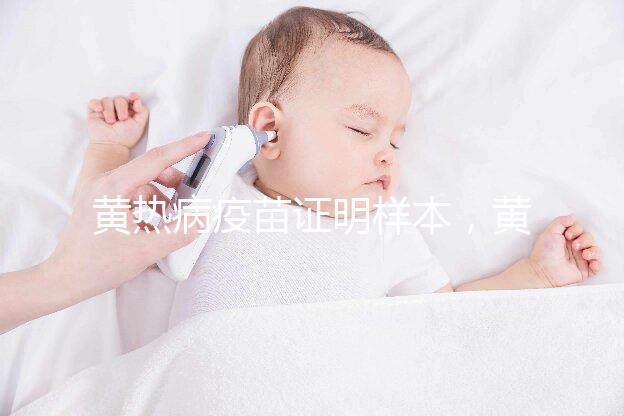 黃熱病疫苗證明樣本，黃皮書有效期10年附詳細辦理流程