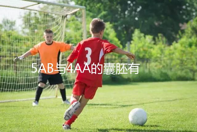 5AB與4AA的囊胚有什么區(qū)別？誰更適合移植？