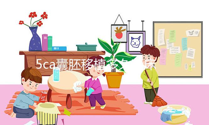 5ca囊胚移植多久著床、有何反應(yīng)答案來了,第8天白板要警惕