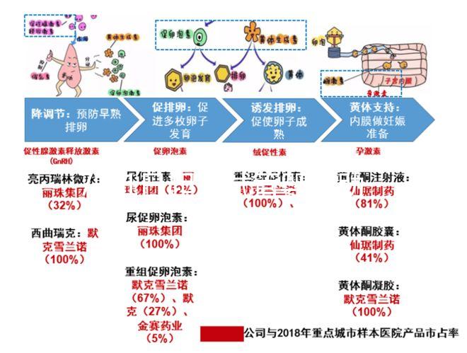 7月1日起，試管嬰兒助孕可醫(yī)保報銷啦！