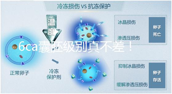 6ca囊胚級別真不差！嘗試移植才有機會,有信心才能“好孕”