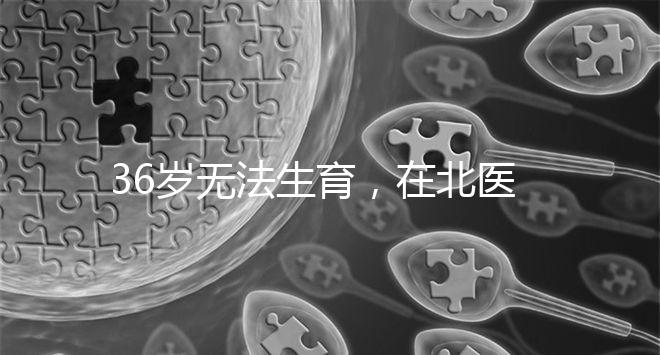 36歲無法生育，在北醫三院做人工授精成功率有多少？