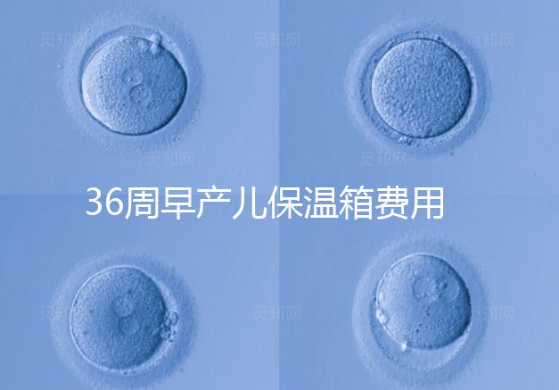 36周早產兒保溫箱費用整理，12天到4斤花不了多少錢