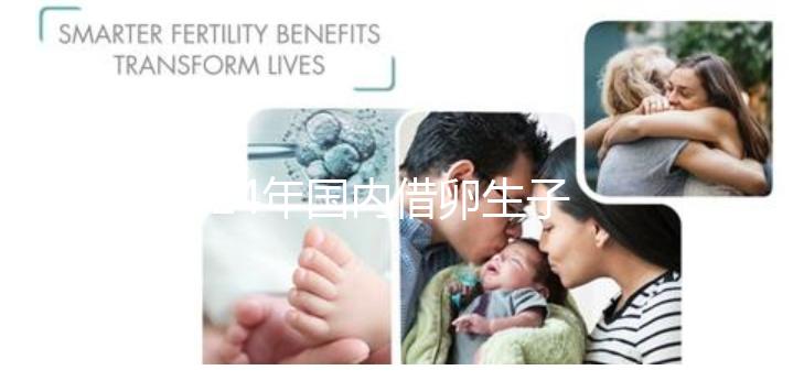 2024年國(guó)內(nèi)借卵生子私立醫(yī)院哪里最好?上海集愛(ài)排名前三