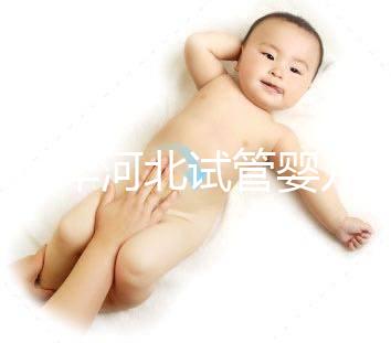 2024年河北試管嬰兒費用可以報銷嗎？補貼金額真的那么大？