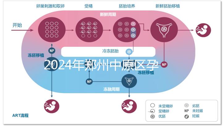 2024年鄭州中原區(qū)孕前檢查免費政策，選擇合適的醫(yī)院可以節(jié)省數百人