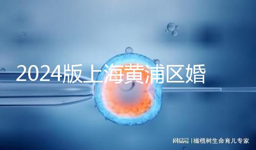 2024版上海黃浦區婚檢預約指南，包括詳細的流程和費用