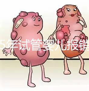 2025年試管嬰兒報銷多少(做試管可以報銷醫(yī)保嗎)