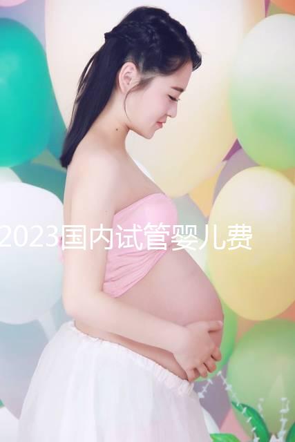 2023國內(nèi)試管嬰兒費(fèi)用明細(xì)表一覽,4大項(xiàng)目不同花費(fèi)get