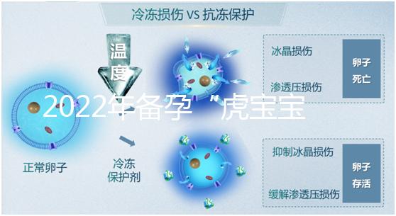 2022年備孕“虎寶寶”時(shí)間表，生孩子選這幾個(gè)月命最好