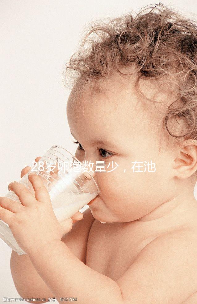 28歲卵泡數(shù)量少，在池州能不能做試管嬰兒？